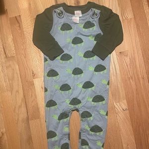 Hanna Andersson Turtle romper and shirt